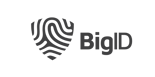Horizontal-BigID-Logo-grey-(no-slogan)